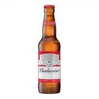 imagem Budweiser Long Neck