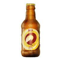 imagem Skol 300ml