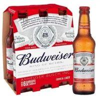 imagem Budweiser 330ml C/ 6 und