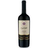 imagem Vinho Casas Del Toqui Carmenere 750ml 