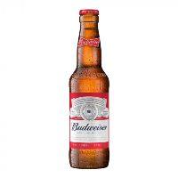 imagem Budweiser 330ml