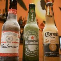 imagem Cervejas Long Neck