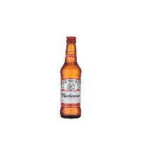 imagem Budweiser long neck 330ml